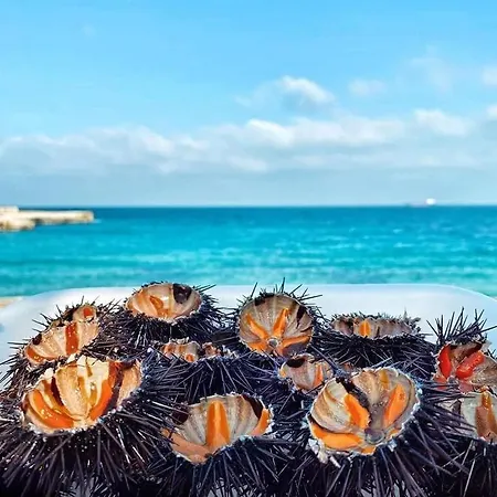Ferienhaus Casa 100m Dal Mare Caraibico *